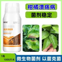 柑橘葵陽(yáng)病通用藥瘡痂病砂皮病穿孔裂皮病柑桔葵陽(yáng)流膠柑橘專用藥